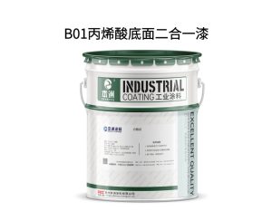 B01丙烯酸底面二合一漆