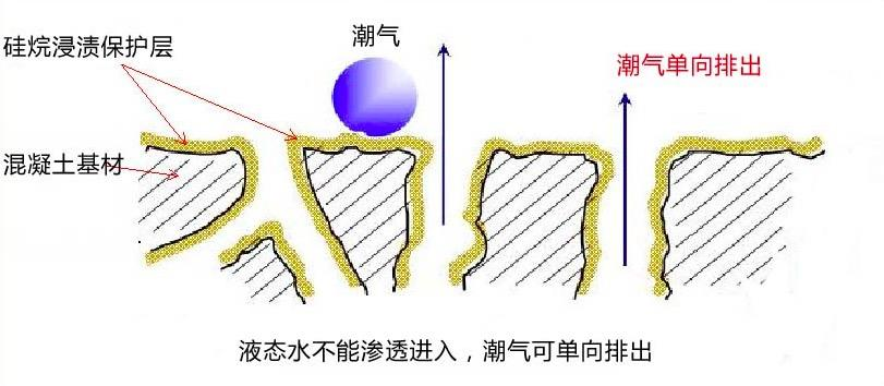 FS03硅烷浸渍剂 异丁基三乙氧基硅烷（油性）（images 4）