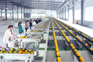 农产品加工厂与粮食仓储：9512防霉涂料解决储粮环...